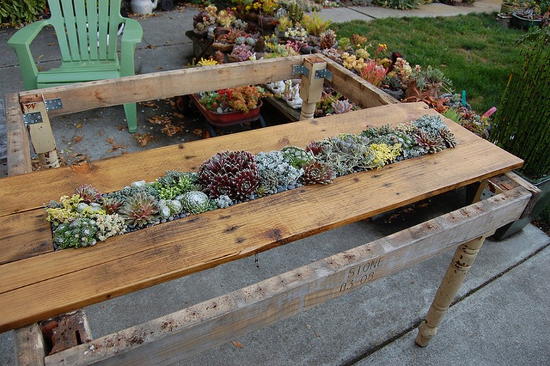 DIY succulent pallet table